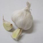 Garlic bulb and cloves