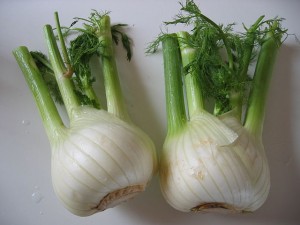 fennel